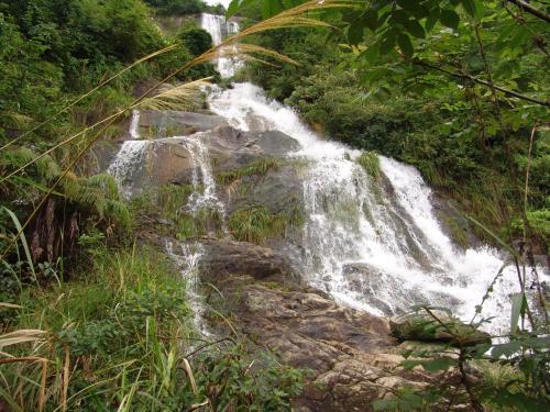 Шанграо: Sanqing Mountain Quanlin Farm Stay