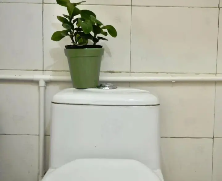 Сямынь: Xiamen Play House