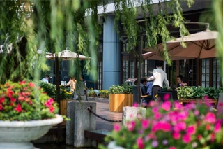 Чанша: Jasmine International Hotel
