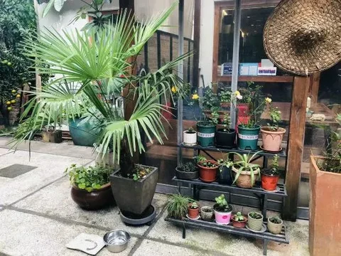 Ханчжоу: Happy House
