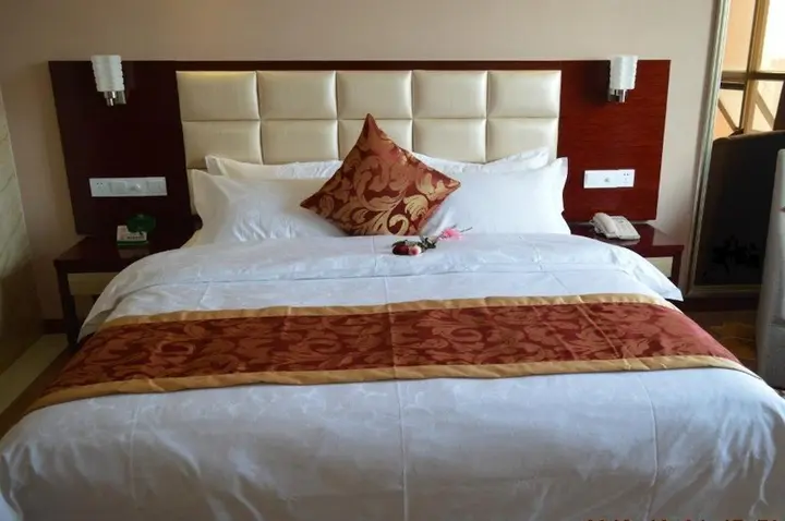 Шэньчжэнь: Shenzhen Bordeaux Hotel