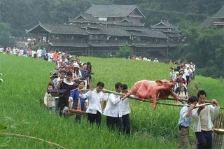 Лючжоу: Long Feng Inn