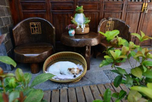 Лицзян: Lijiang Yulu Hotel