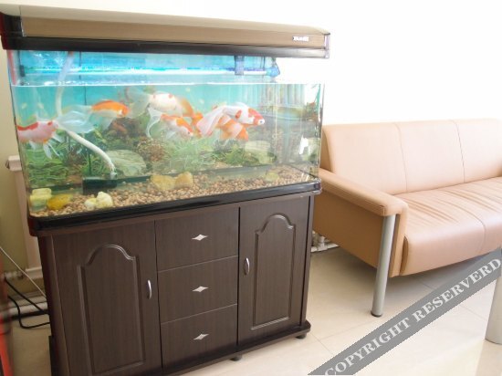 Далянь: Yi Jia Hotel