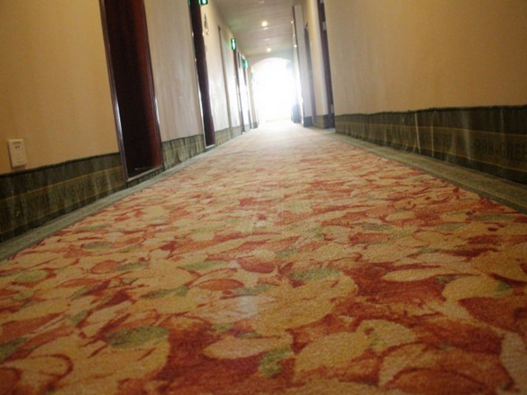 GreenTree Inn LiaoCheng LinQing HaiShan Building Express Hotel — фото 6