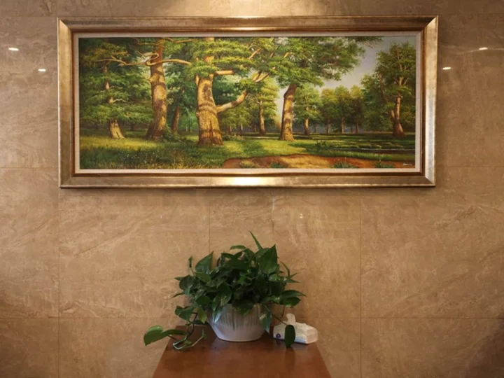 Цзаочжуан: Vatica ZaoZhuang TengZhou Railway Station Hotel
