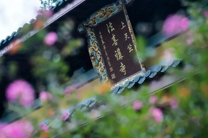 Ханчжоу: Yinzhu Guest House