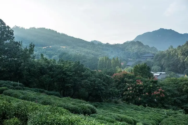 Ханчжоу: Yinzhu Guest House