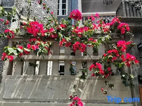 Сямынь: Xiamen Gulangyu Aifeier Hotel Guanglangyu Blue Island Branch