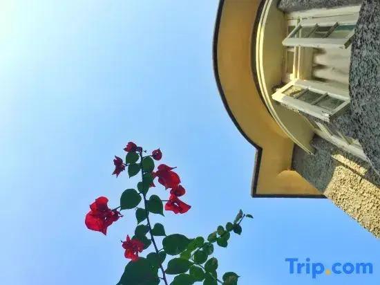 Сямынь: Xiamen Gulangyu Aifeier Hotel Guanglangyu Blue Island Branch