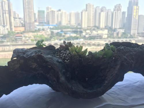 Чунцин: Za Huo Pu Homestay