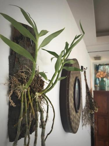 Чэнду: Chengdu Yi Jing Guesthouse