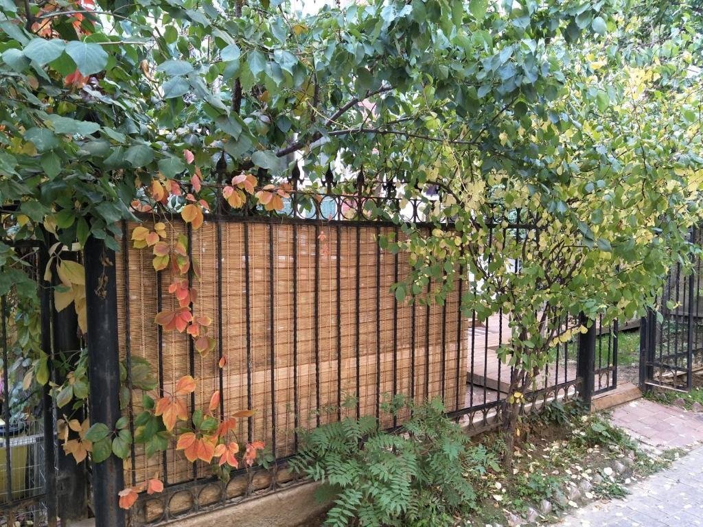 Синин: Rose Garden Theme Youth Hostel