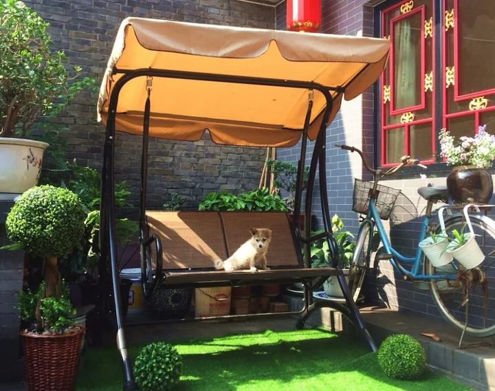 Цзиньчжун: Pingyao Bravo Youth Hostel