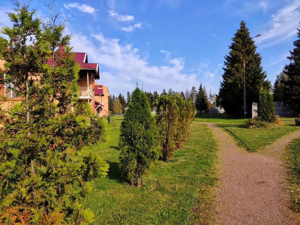 Раково: Viktorija (Moskovskaja obl.)