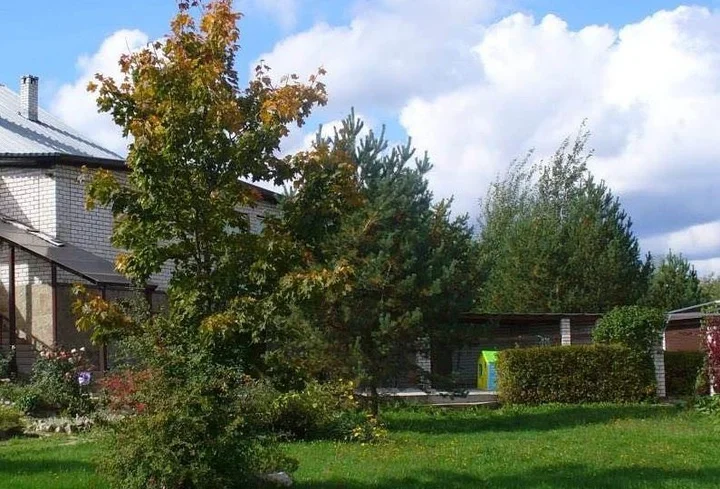 Зеленоград: Мини-Отель Say-house
