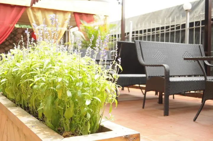 Сямынь: Shuhaiwan Guest House