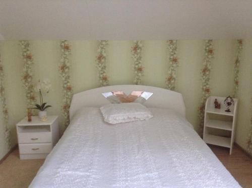 Вешки: Veshki Guest House
