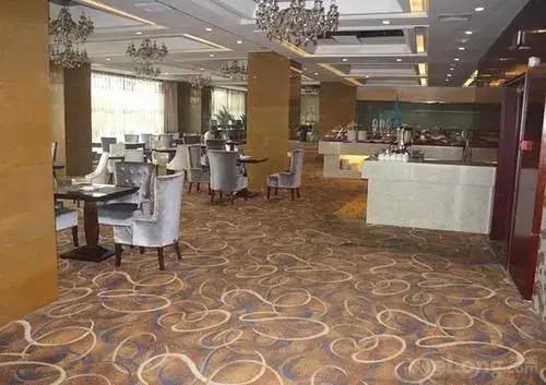 Яньань: Long Fei Sheng Shi International Hotel