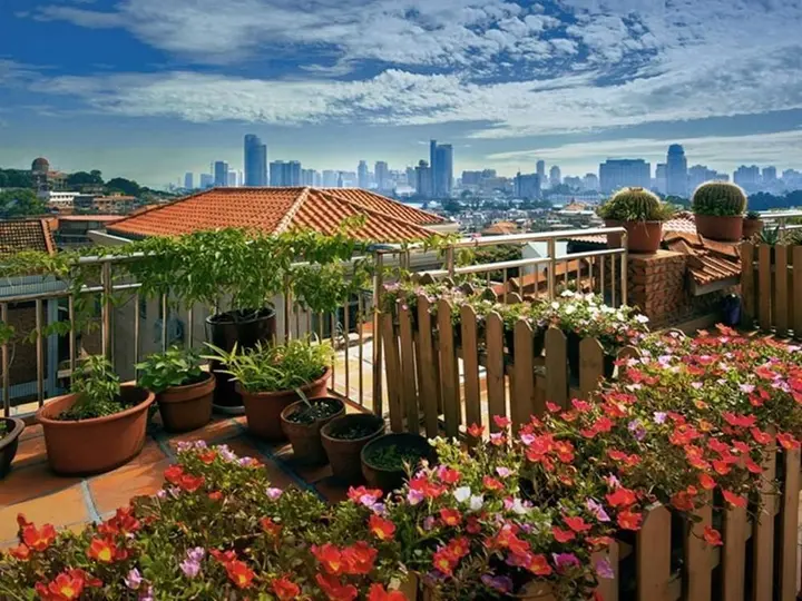 Сямынь: Xiamen Gulangyu Sunshine Dora's House