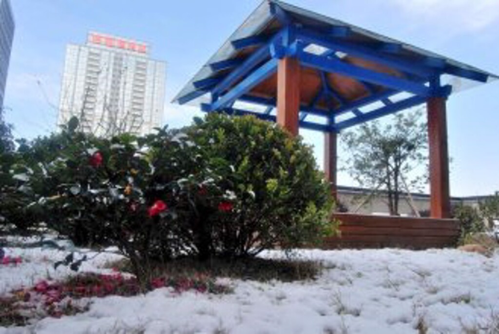 Ханчжоу: Hangzhou Yuelv Apartment Hotel