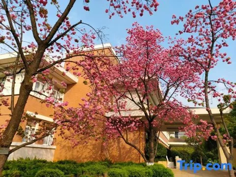Куньмин: Yuntian Garden Hotel