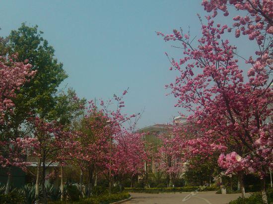 Куньмин: Yuntian Garden Hotel