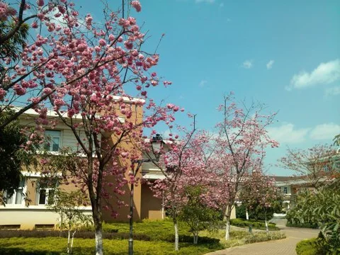 Куньмин: Yuntian Garden Hotel
