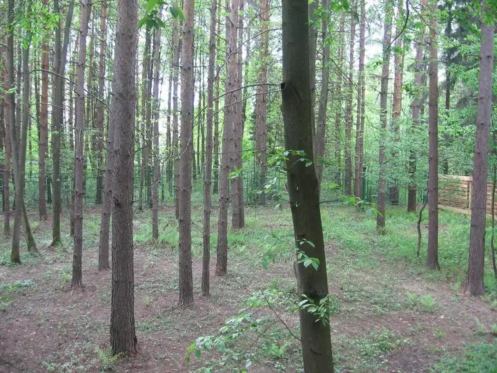 Дачный Хостел — фото 6
