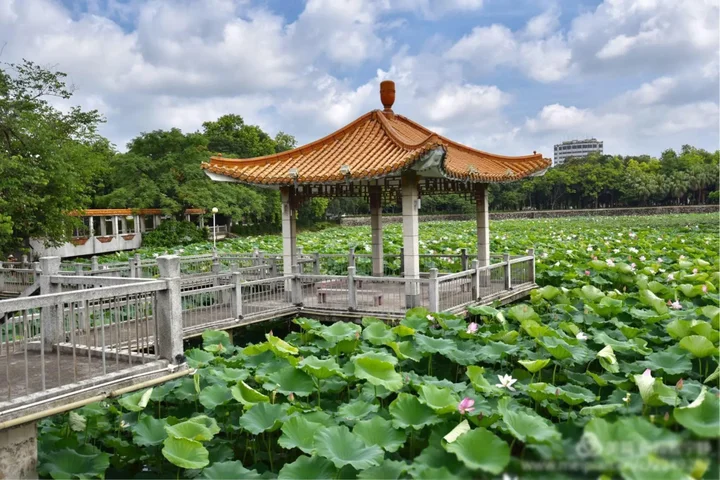 Джиангме: Taishan Jos Hotel