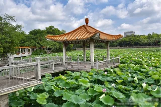 Джиангме: Taishan Jos Hotel