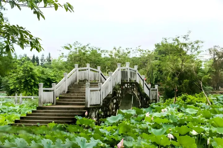 Джиангме: Taishan Jos Hotel