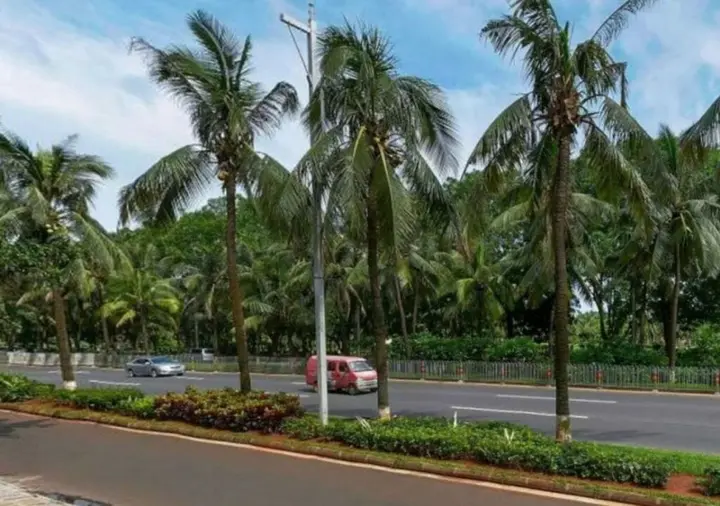 Хайкоу: Baohua Harbour View Hotel