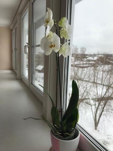 Звенигород: Guest house 7 vecherov