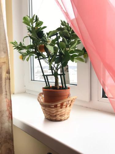 Звенигород: Guest house 7 vecherov