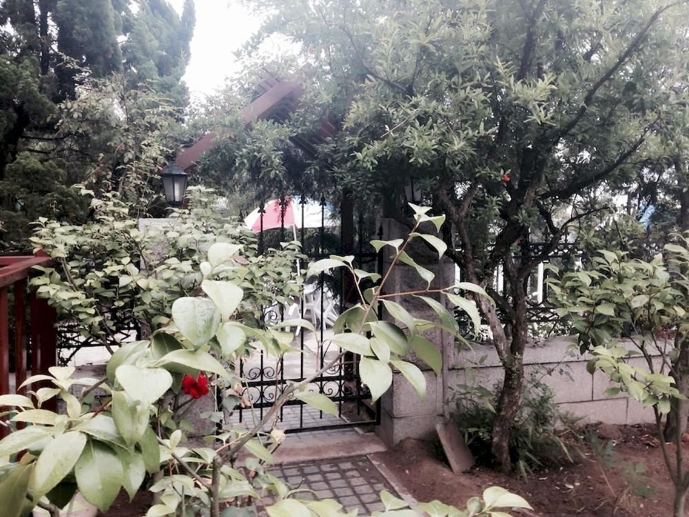 Циндао: Qingdao Langqin Sea View Holiday Villa