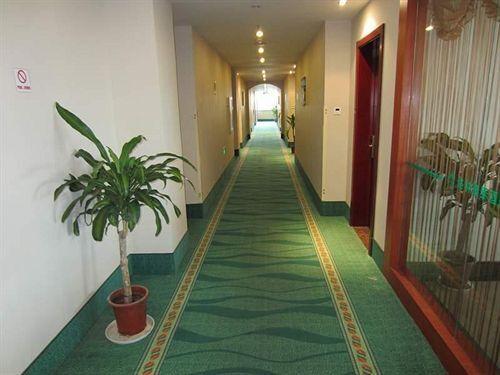 Наньтун: GreenTree Inn (Nantong Jiaoyu Road)