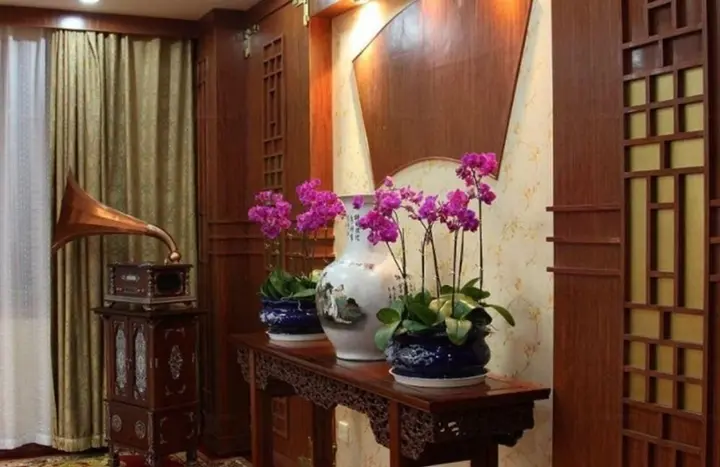Цзинань: Qianxilong Hotel