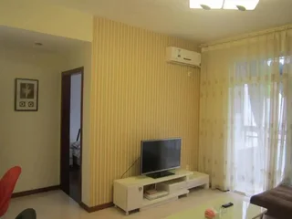 Чунцин: Jiangbeizui Boutique Hotel Apartment