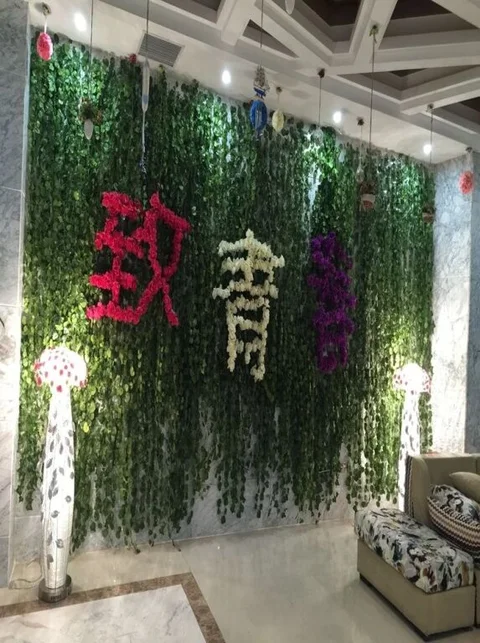 Чжэнчжоу: To Youth Themed Hotel