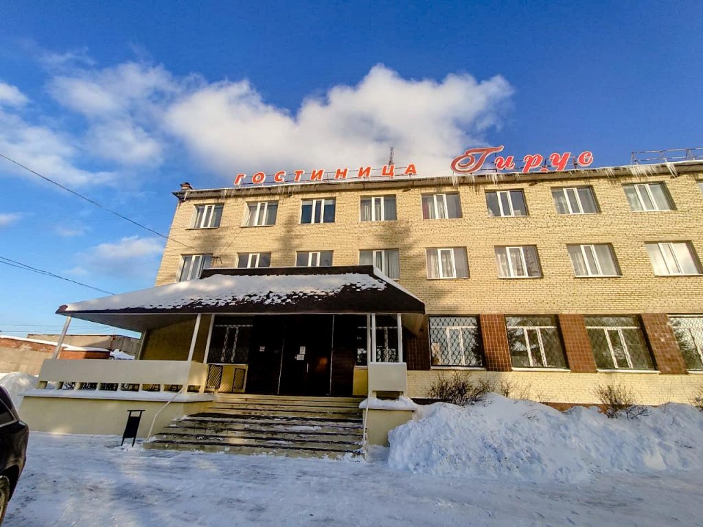 Ногинск: Гирус