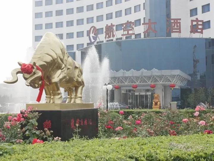 Сяньян: Aviation Hotel Xianyang