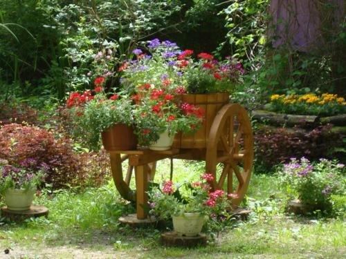 carousel image 0