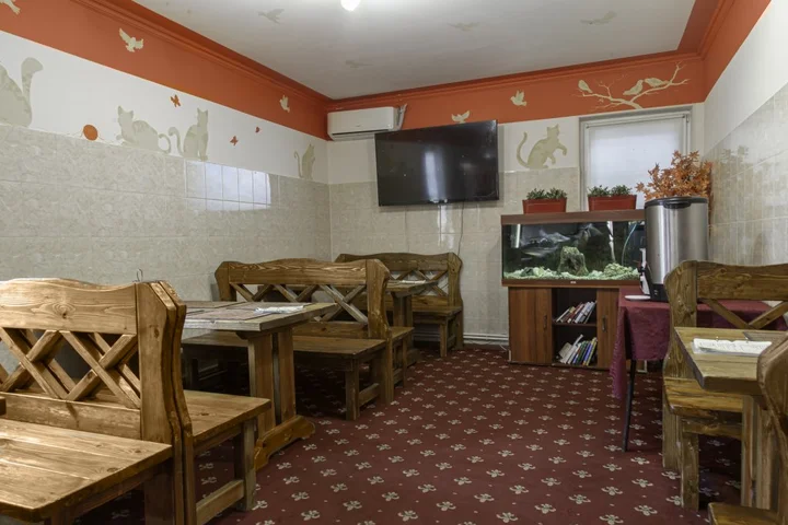 Московский: Home Hotel Внуково