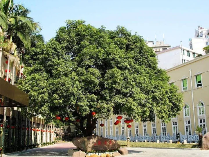 Сямынь: Xiamen Calman Hotel