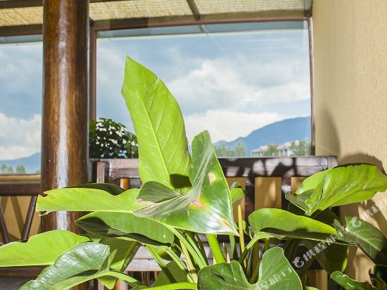Лицзян: Lijiang Hefenghut Inn