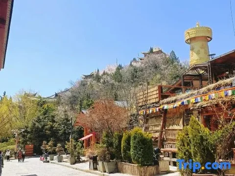 Шангри-Ла: Shangri-La Lancy Centre