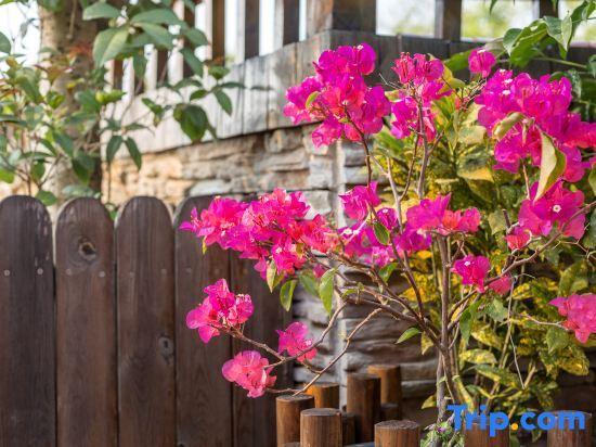 Сямынь: Xiamen Gulangyu Longshan Villa Cafe Hostel