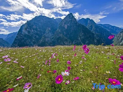 Шангри-Ла: Shuizhuang Hotel