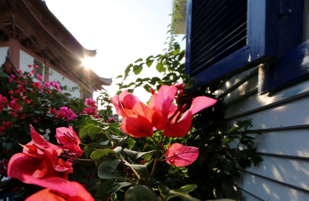 Сямынь: Right view Coast Inn Xia men